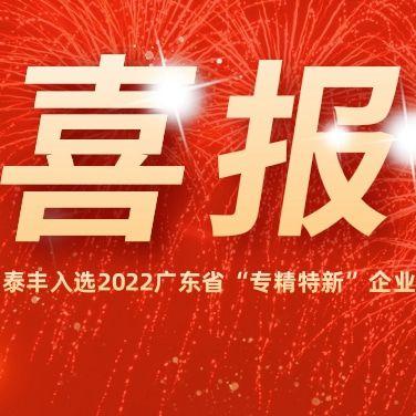 熱烈祝賀泰豐空調入選2022廣東省“專精特新”企業(yè)！